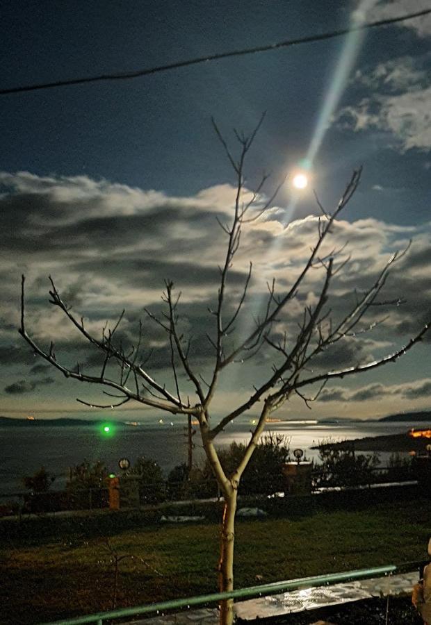 Mordogan Tas Konakta Doga Ve Deniz Tatili Vila Karaburun  Exterior foto